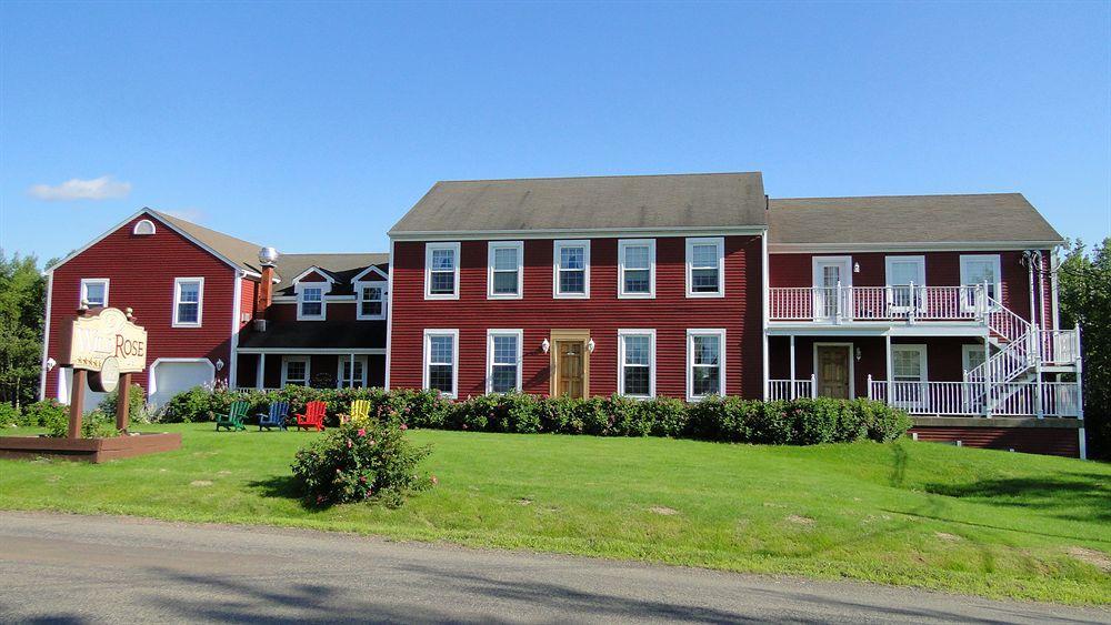 Auberge Wild Rose Inn Moncton Exterior foto