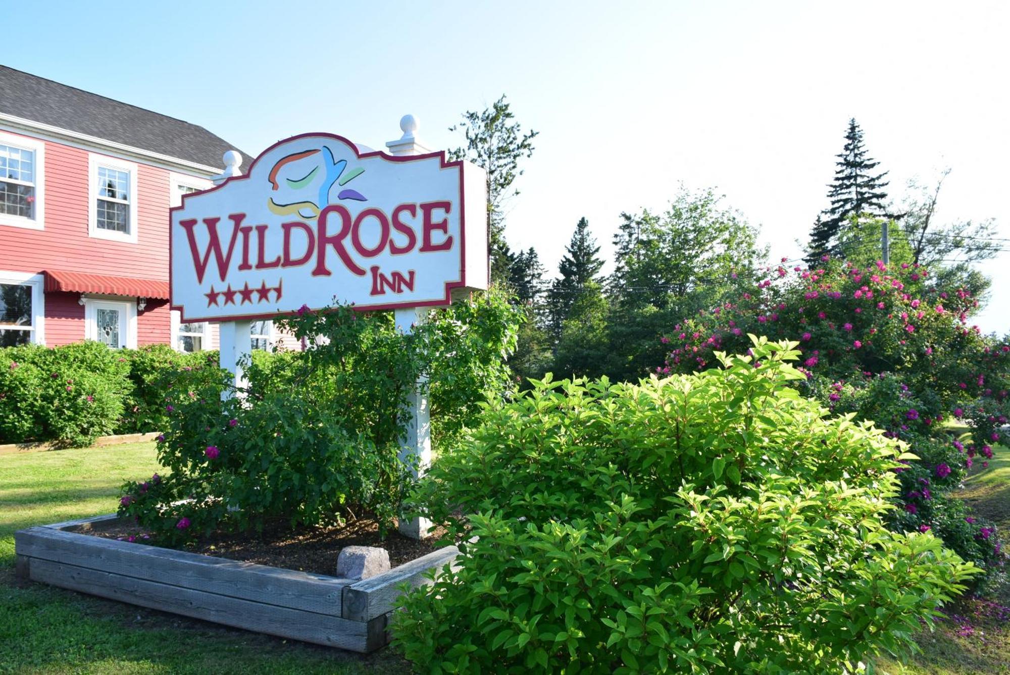 Auberge Wild Rose Inn Moncton Exterior foto