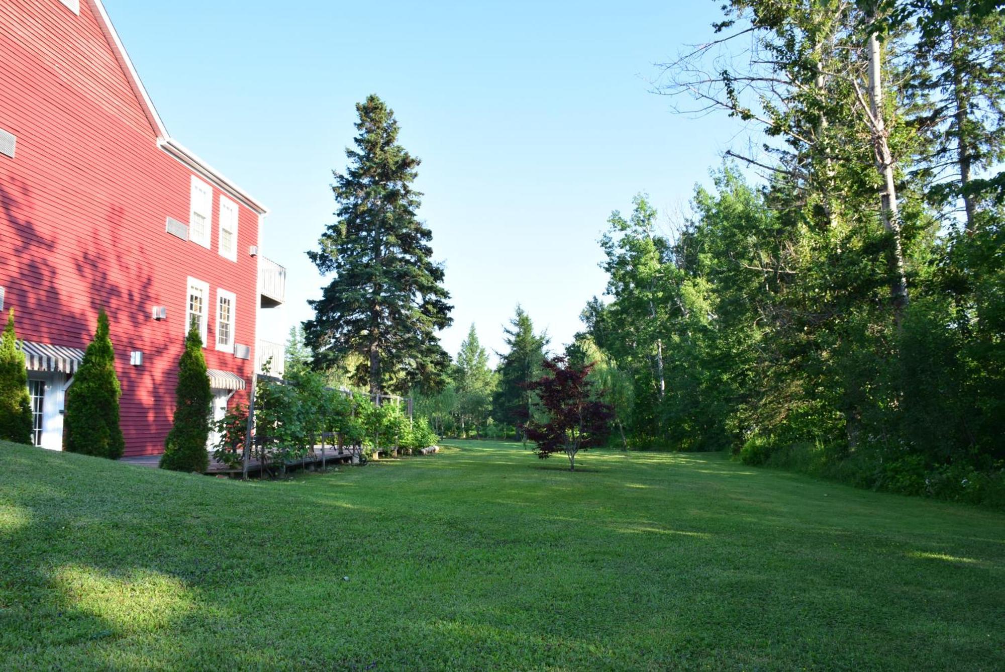 Auberge Wild Rose Inn Moncton Exterior foto
